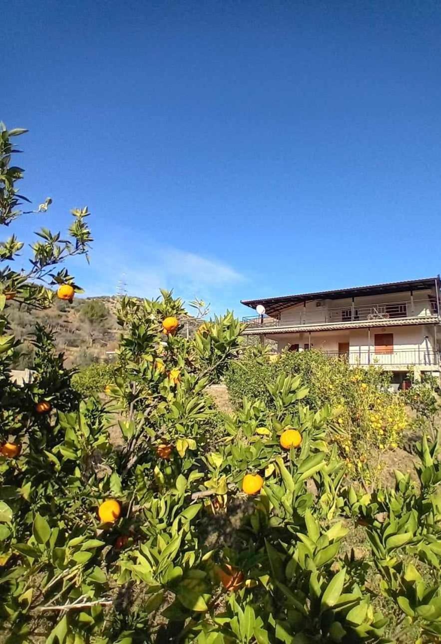 Guest House Xhaferaj Berat Exterior photo